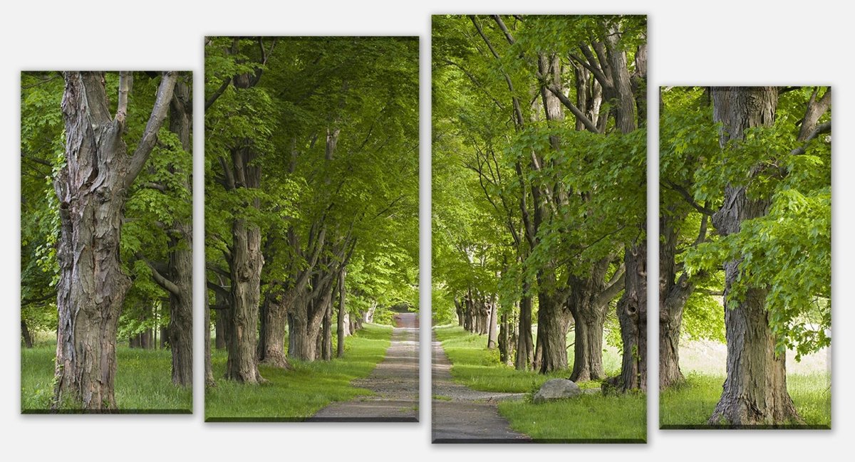 Leinwandbild Mehrteiler Sommerallee M0357