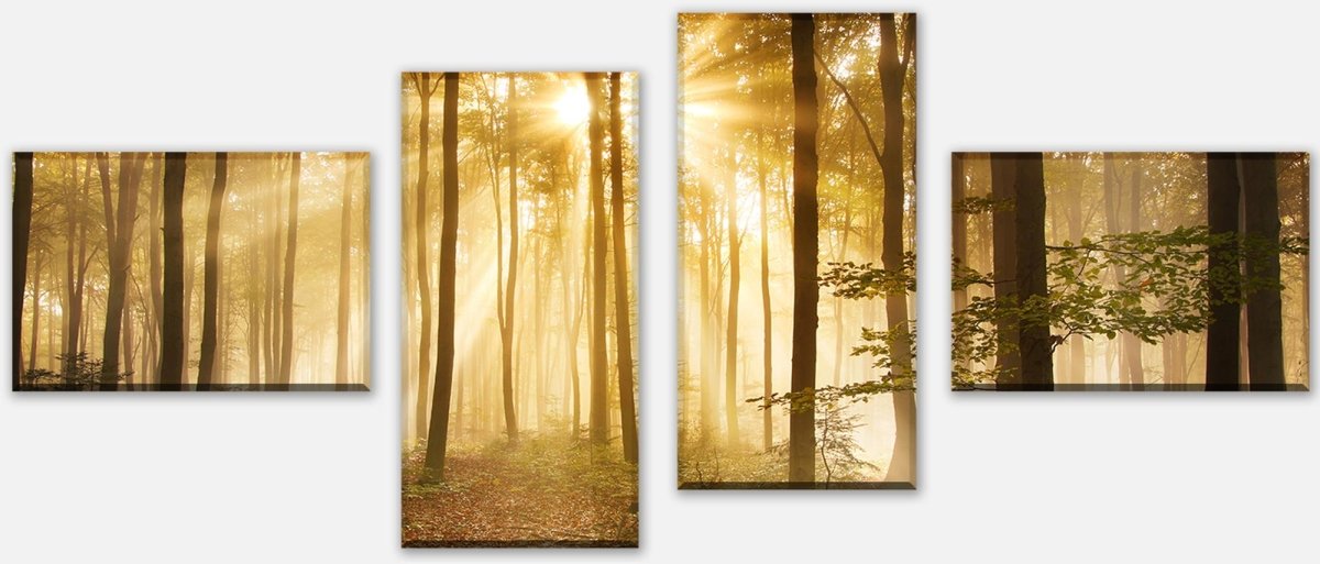 Leinwandbild Mehrteiler Wald am Morgen M0391