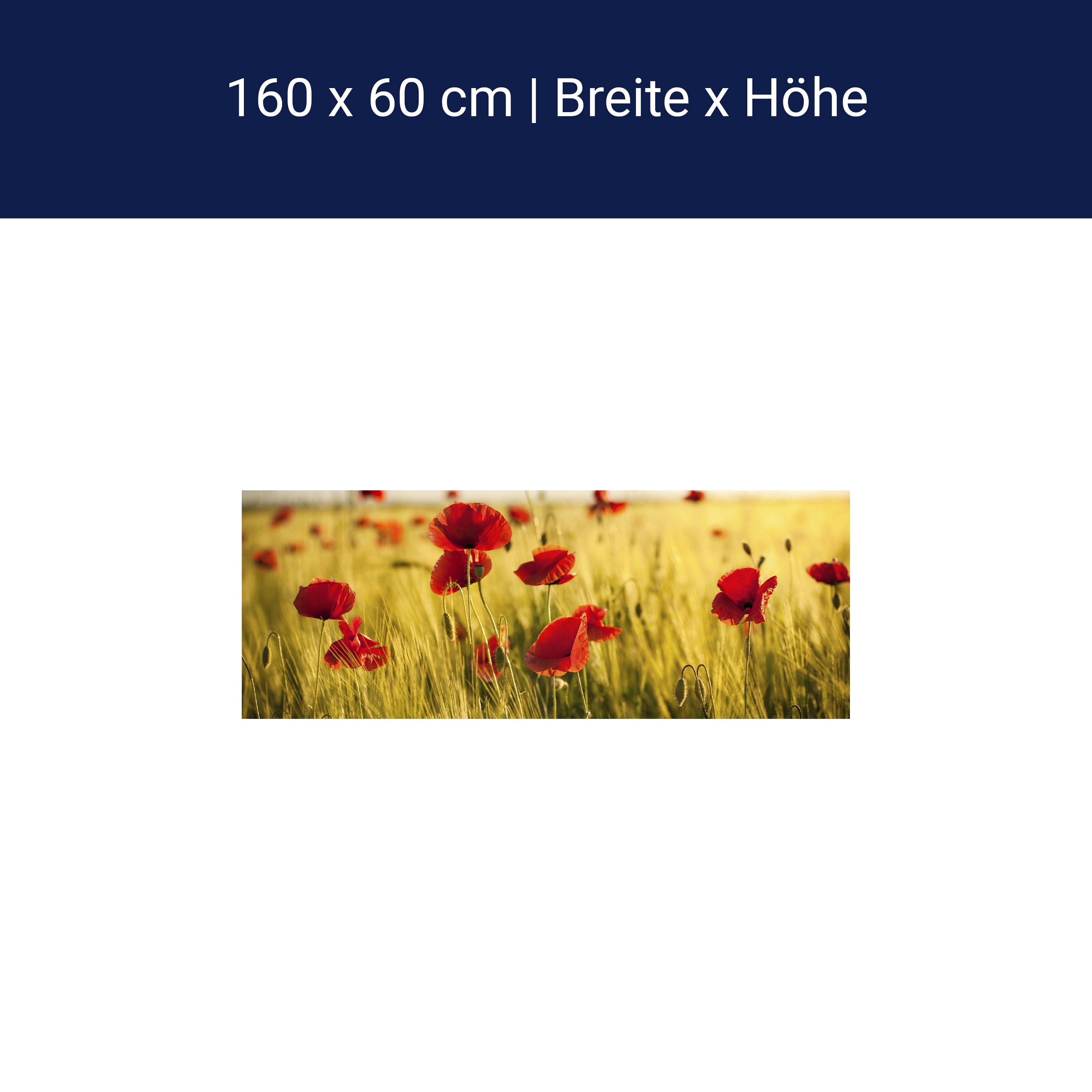 Küchenrückwand Kornfeld mit Mohnblumen M0398