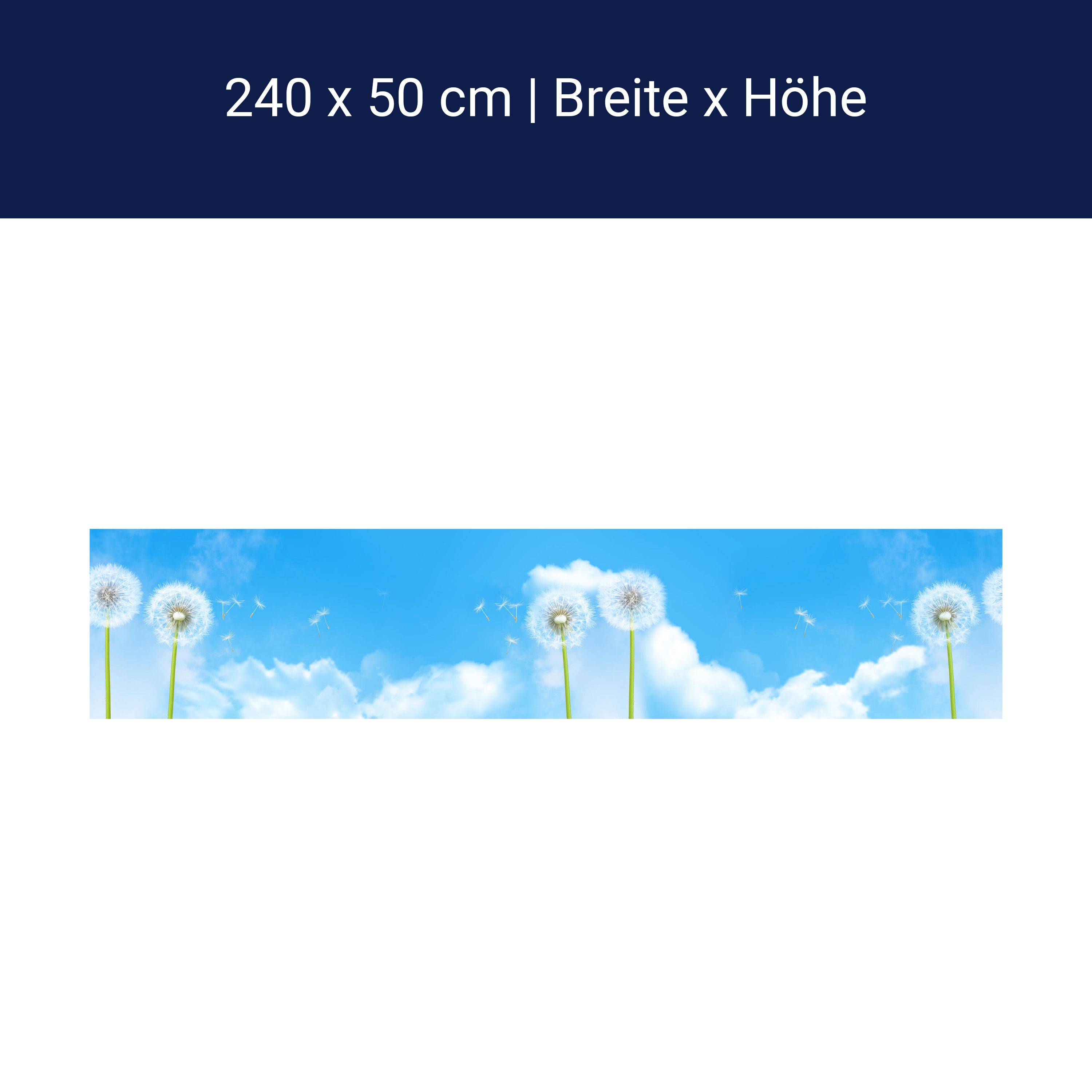 Küchenrückwand Pusteblumen M0416