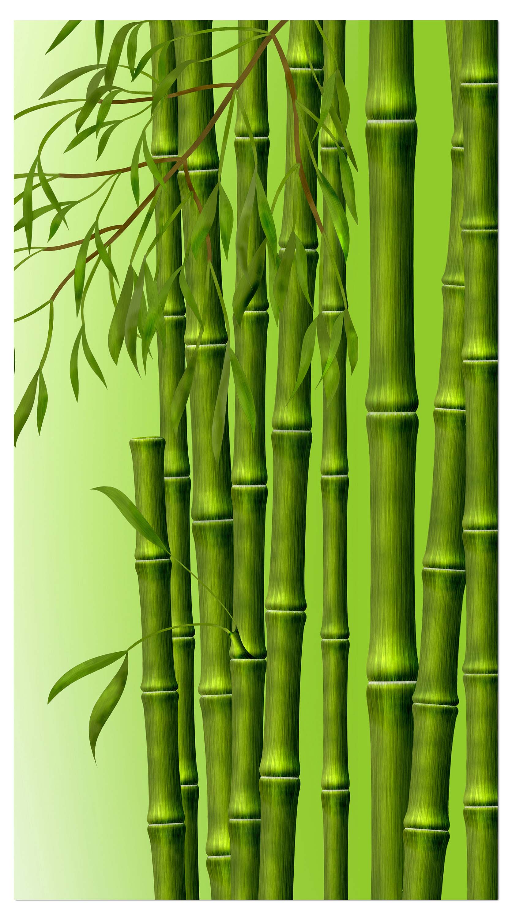 Garderobe Bambuszweige M0461 entdecken - Bild 4