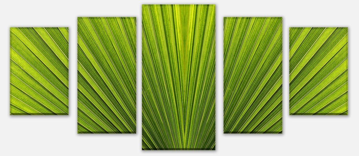 Leinwandbild Mehrteiler Palmblatt Nahaufnahme M1003 entdecken - Bild 1