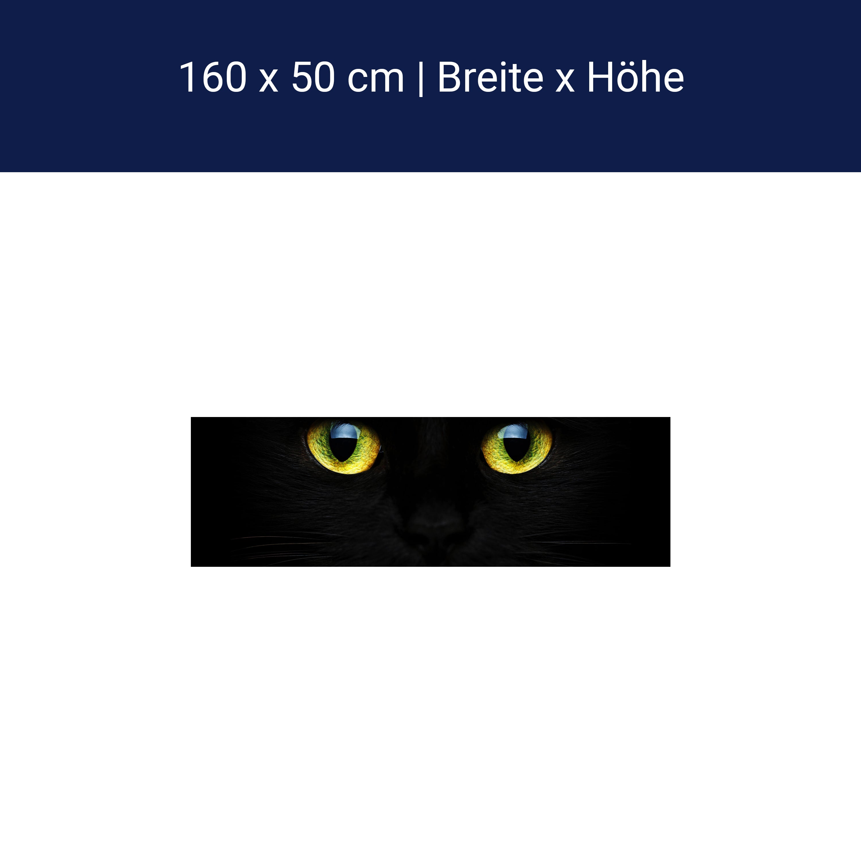 Küchenrückwand Mysteriöse Katzenaugen M1015