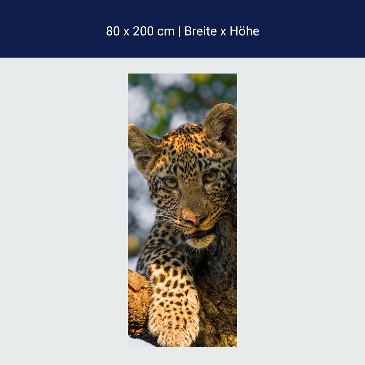 Duschwand Leopard in Südafrika M1032