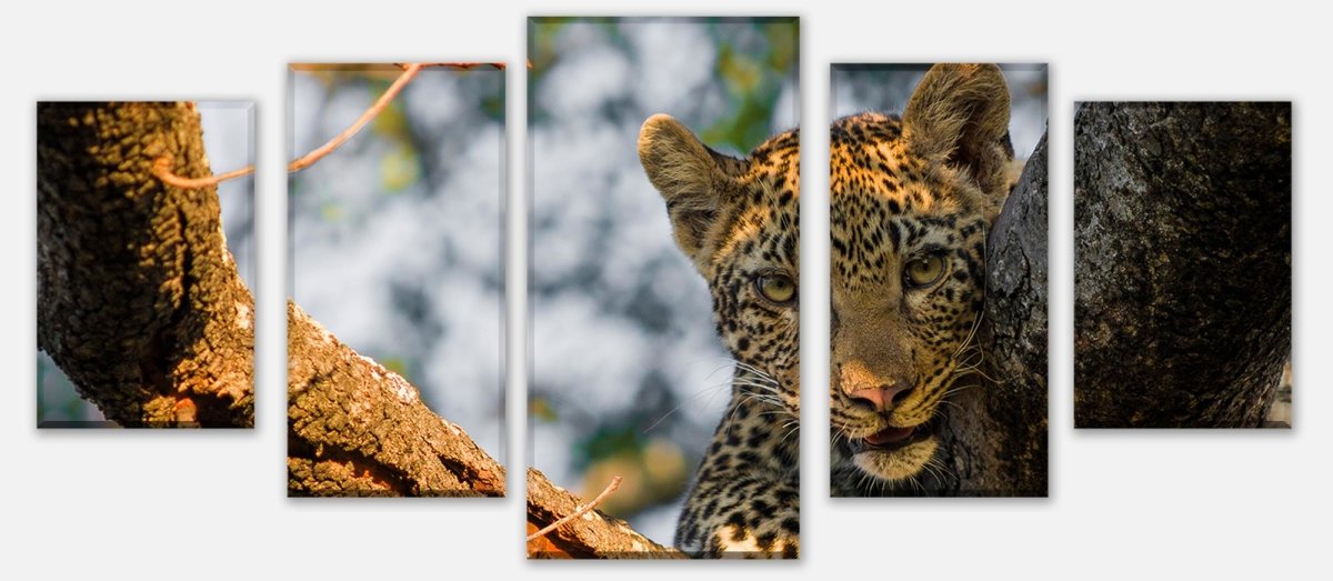 Leinwandbild Mehrteiler Leopard in Südafrika M1032 entdecken - Bild 1
