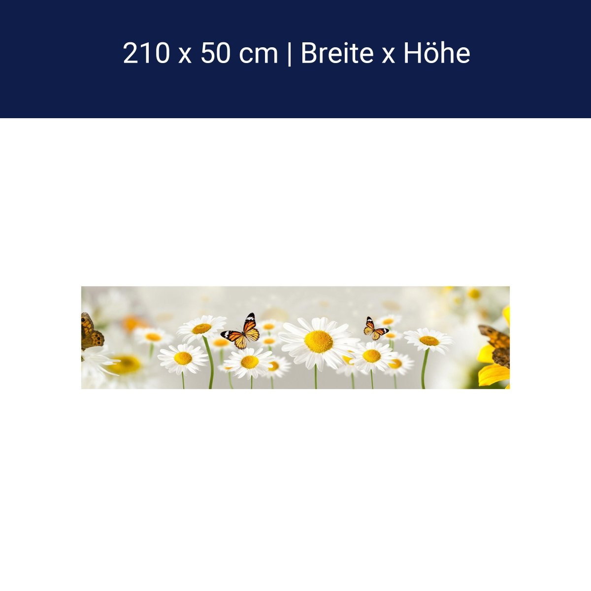 Küchenrückwand Gänseblümchen Schmetterlinge M1095